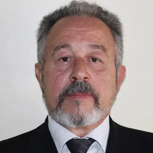 José Luiz Bellini Leite